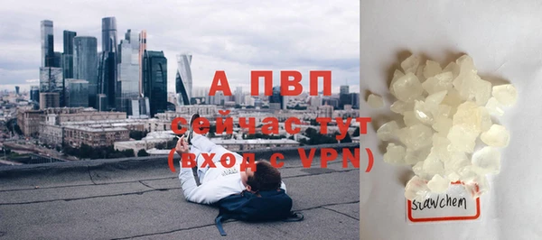 гидра Иннополис