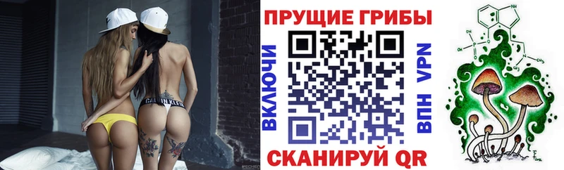 Псилоцибиновые грибы ЛСД Купить Калач